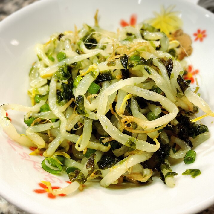 韓国海苔入りもやしナムル レシピ 作り方 By Tomomi9968 楽天レシピ 韓国海苔入りもやしナムル レシピ 作り方 By Tomomi9968 楽天レシピ